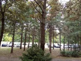 Selling flat Bežanija Belgrade Serbia Expo 2027 invest estate property