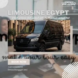Ihr Premium-Van für Ägyptens Kulturschätze: Mercedes Sprinter 13-Sitzer mit Chauffeur