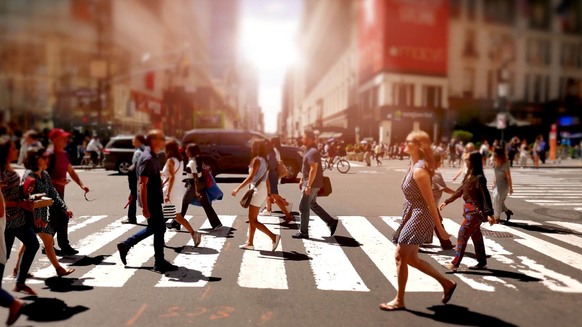 Mercado todo en uno: compre, alquile, subaste o venda fácilmente